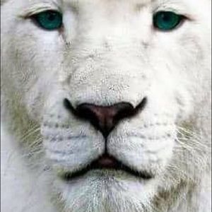 Meet your Posher, Eddie